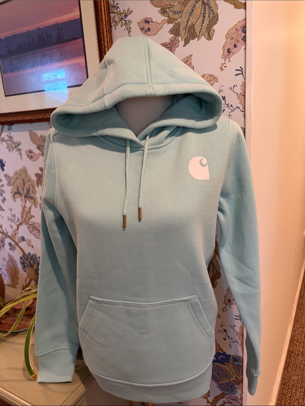 Carhartt Women’s Relaxed Fit Midweight Hooded Sweatshirt - Light Aqua
